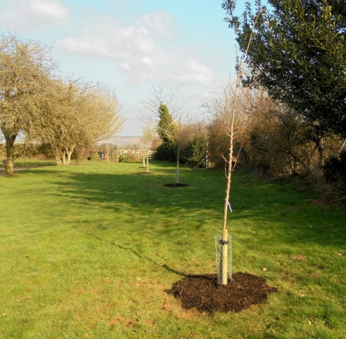 Spratton Village April 2021 (6)